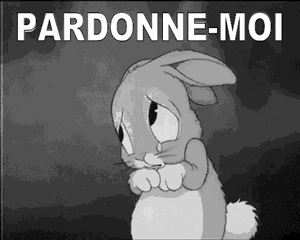 Gif animé pardonne moi lapin